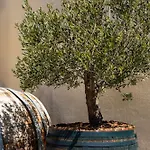 Appartement Wine House Marlais *