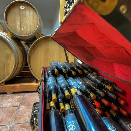 Appartement Wine House Marlais Ston