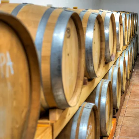 Appartement Wine House Marlais *