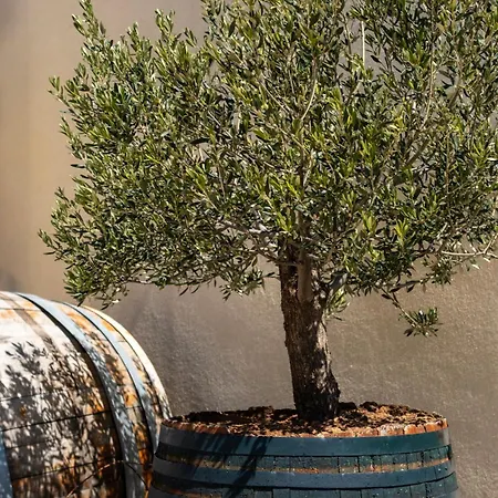 Appartement Wine House Marlais *