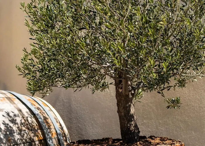 Appartamento Wine House Marlais *